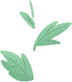 11.png